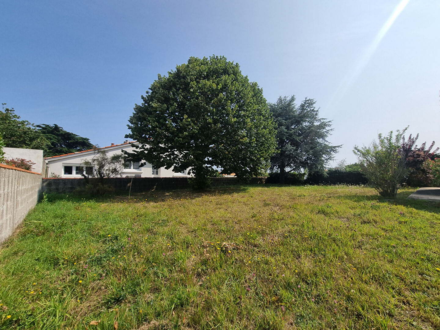 Terrain  - 251m²