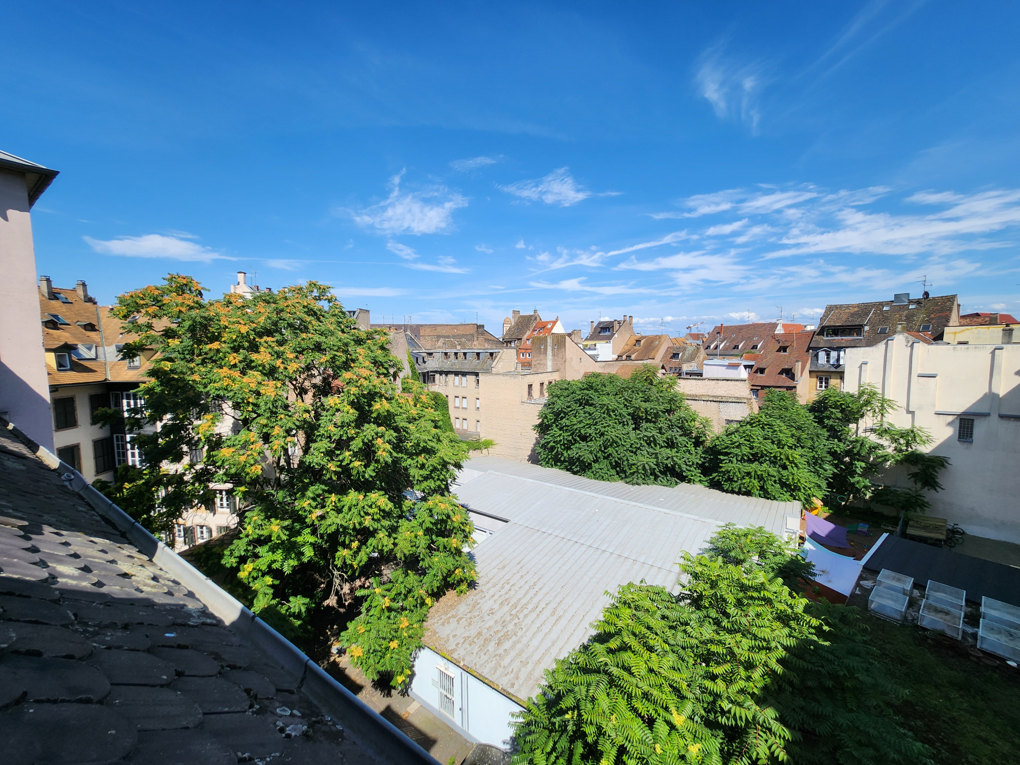 Appartement 1 pièce - 30m² - STRASBOURG