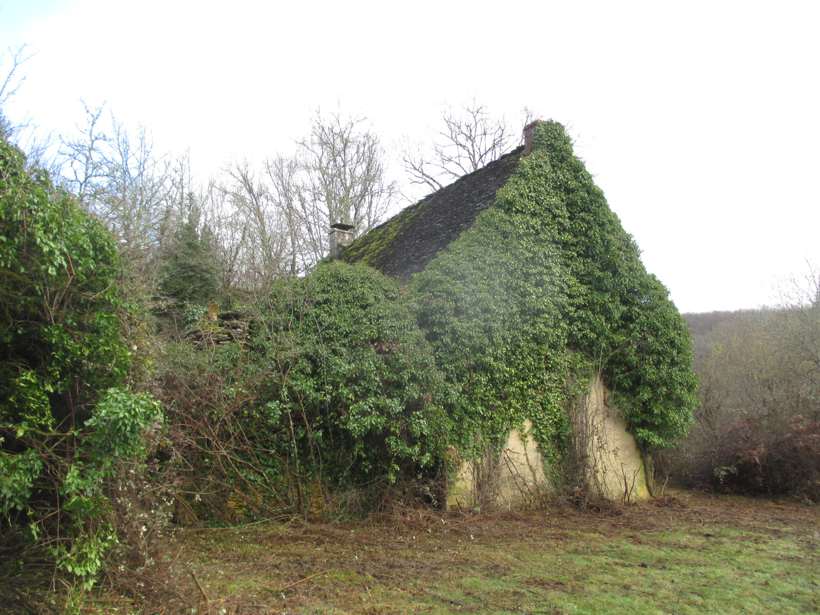 Maison 3 pièces - 70m² - LA CHAPELLE AUBAREIL