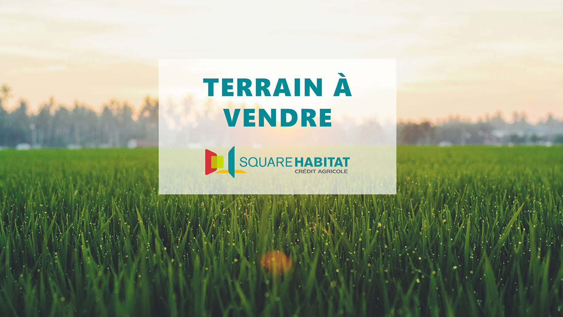 Terrain  - 443m²