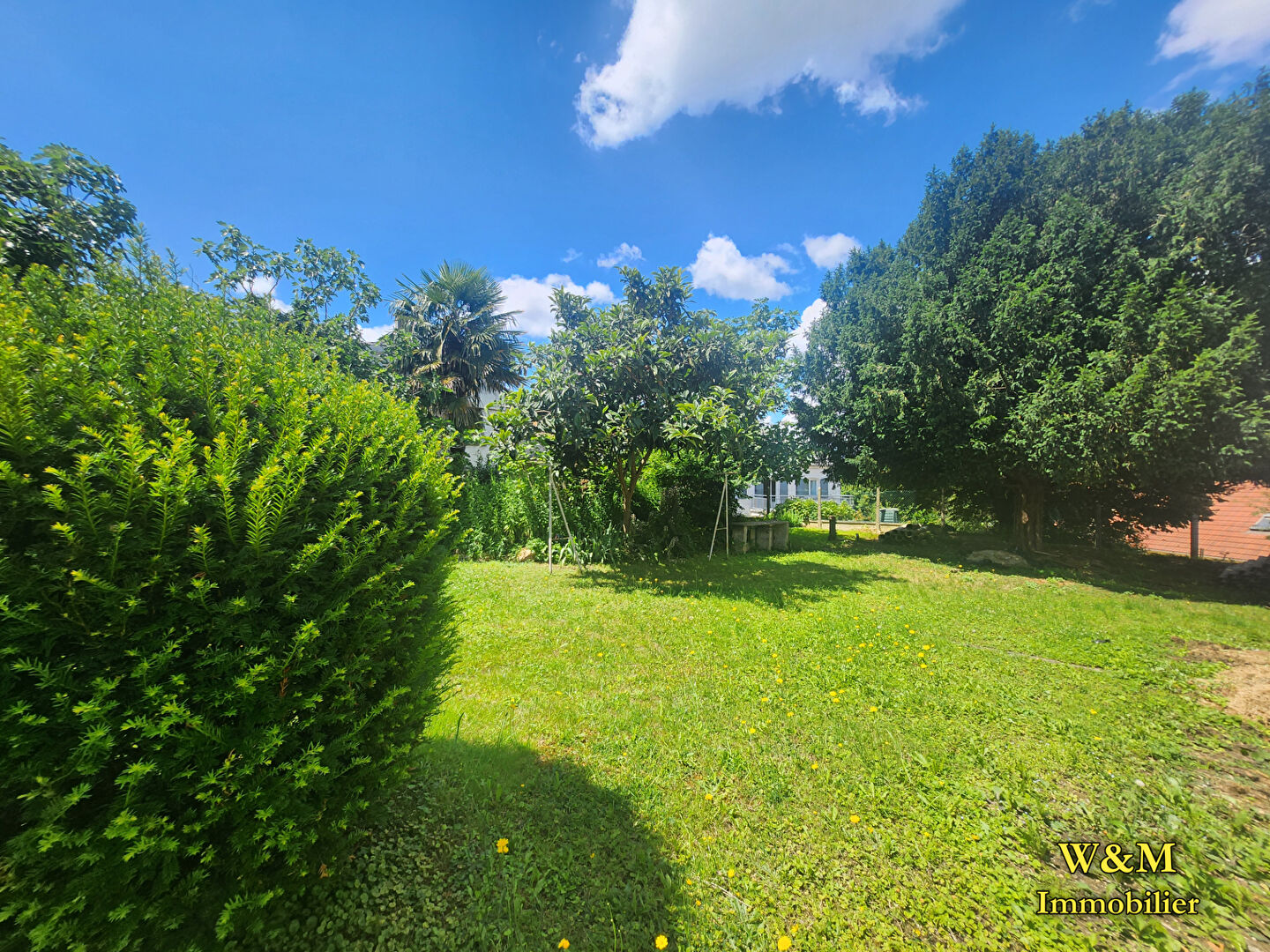 Terrain  - 377m²