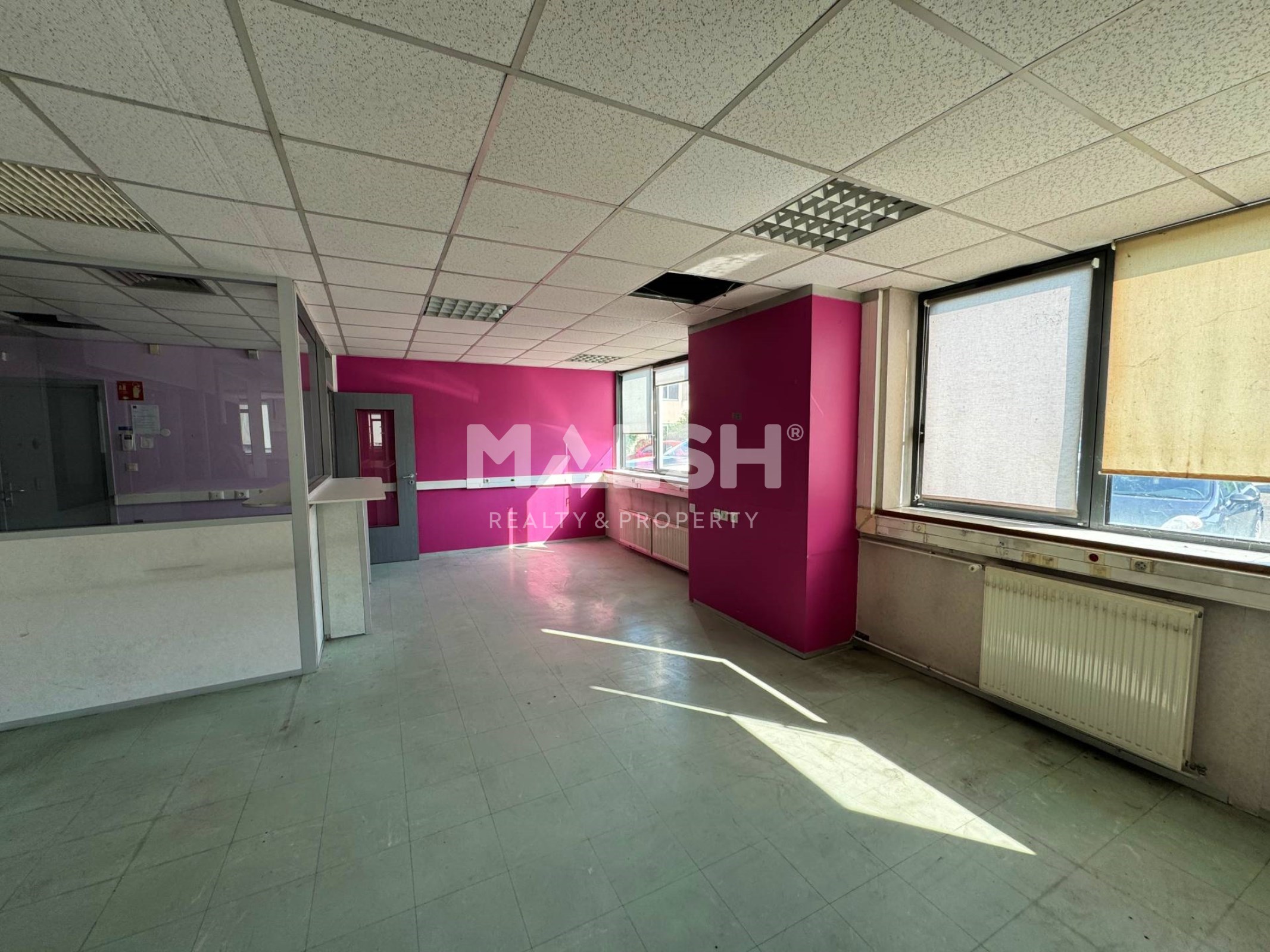 Local Professionnel  - 430m²