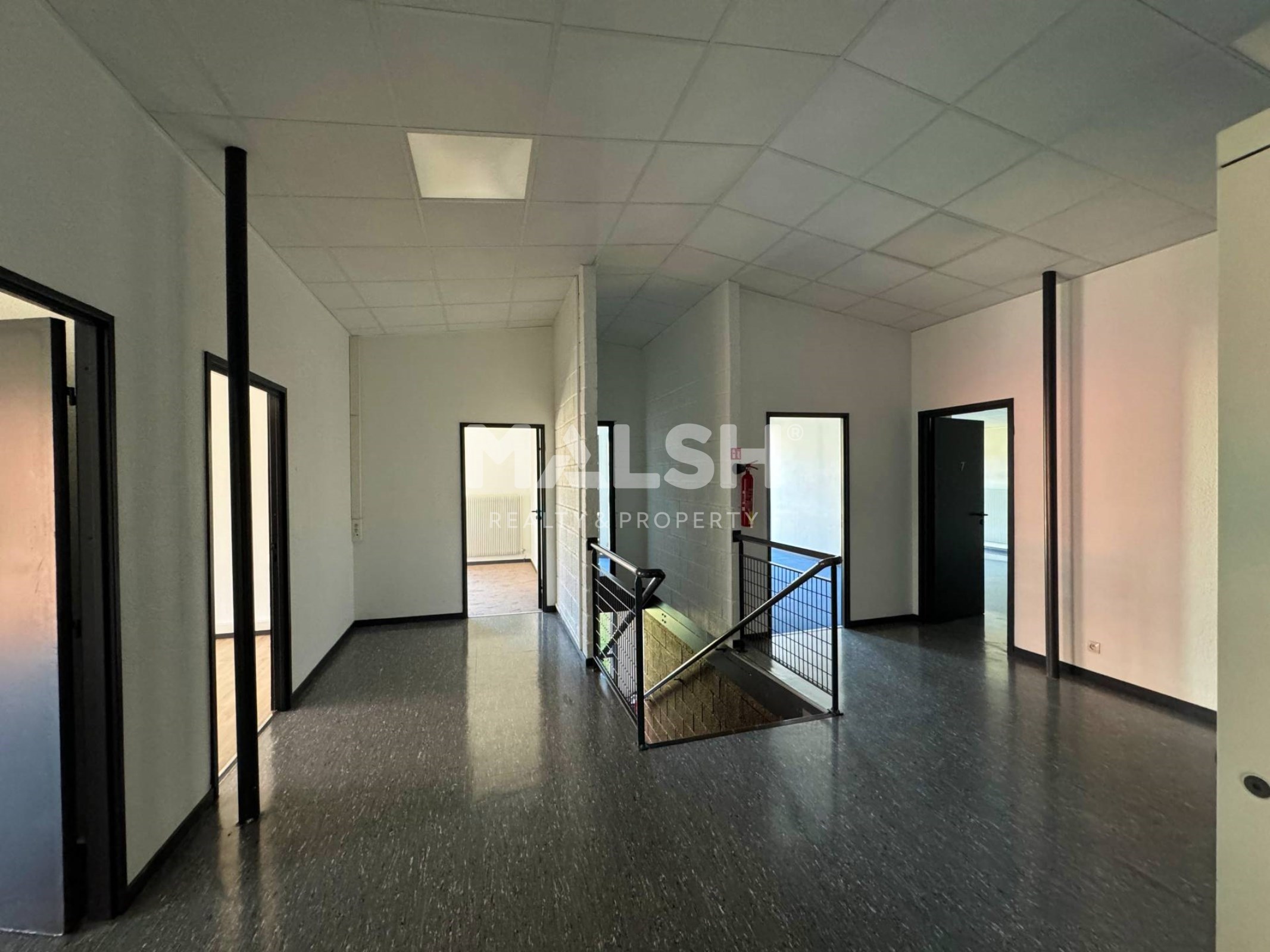 Local Professionnel  - 360m²