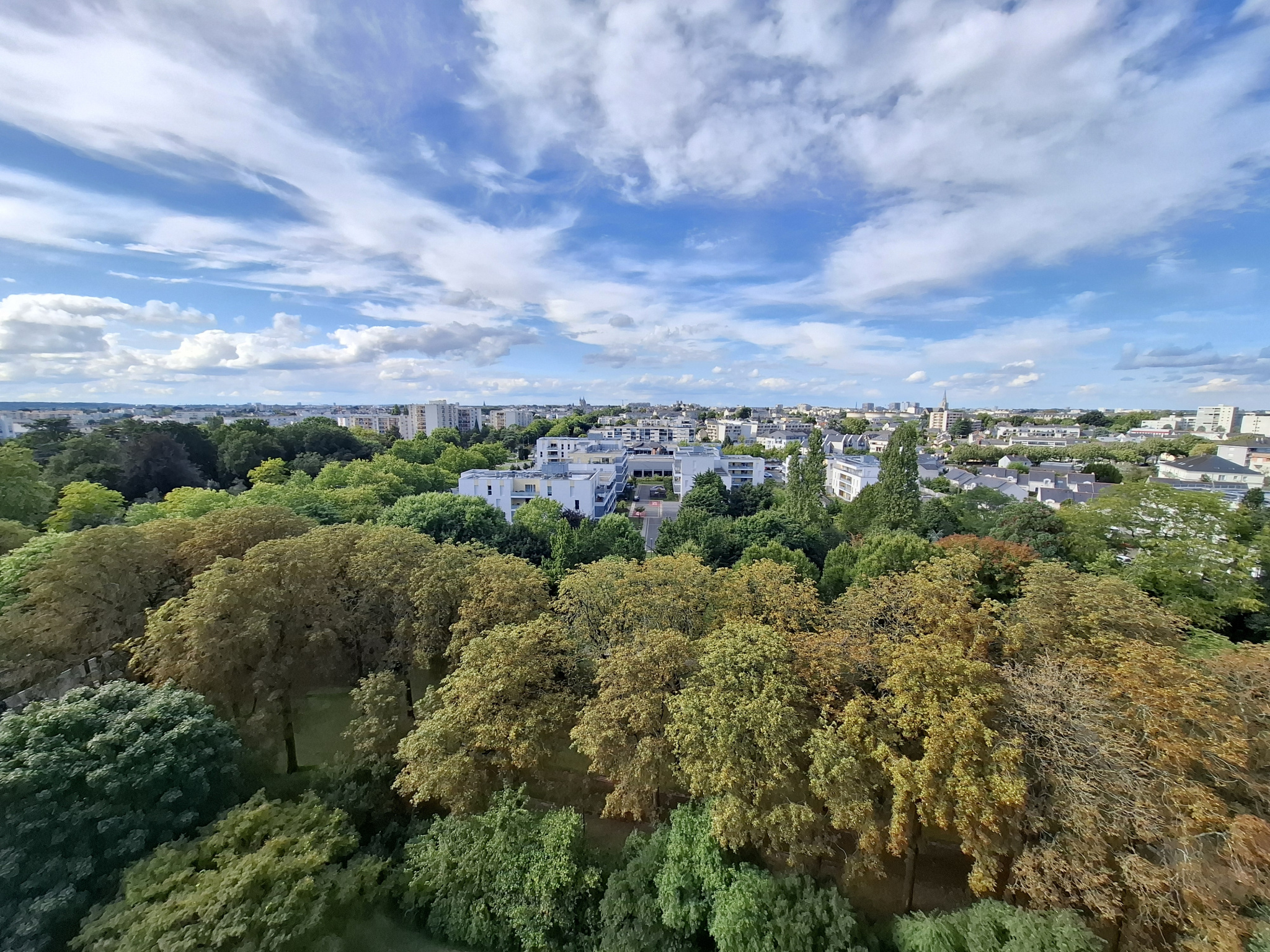 Appartement 2 pièces - 56m² - ANGERS