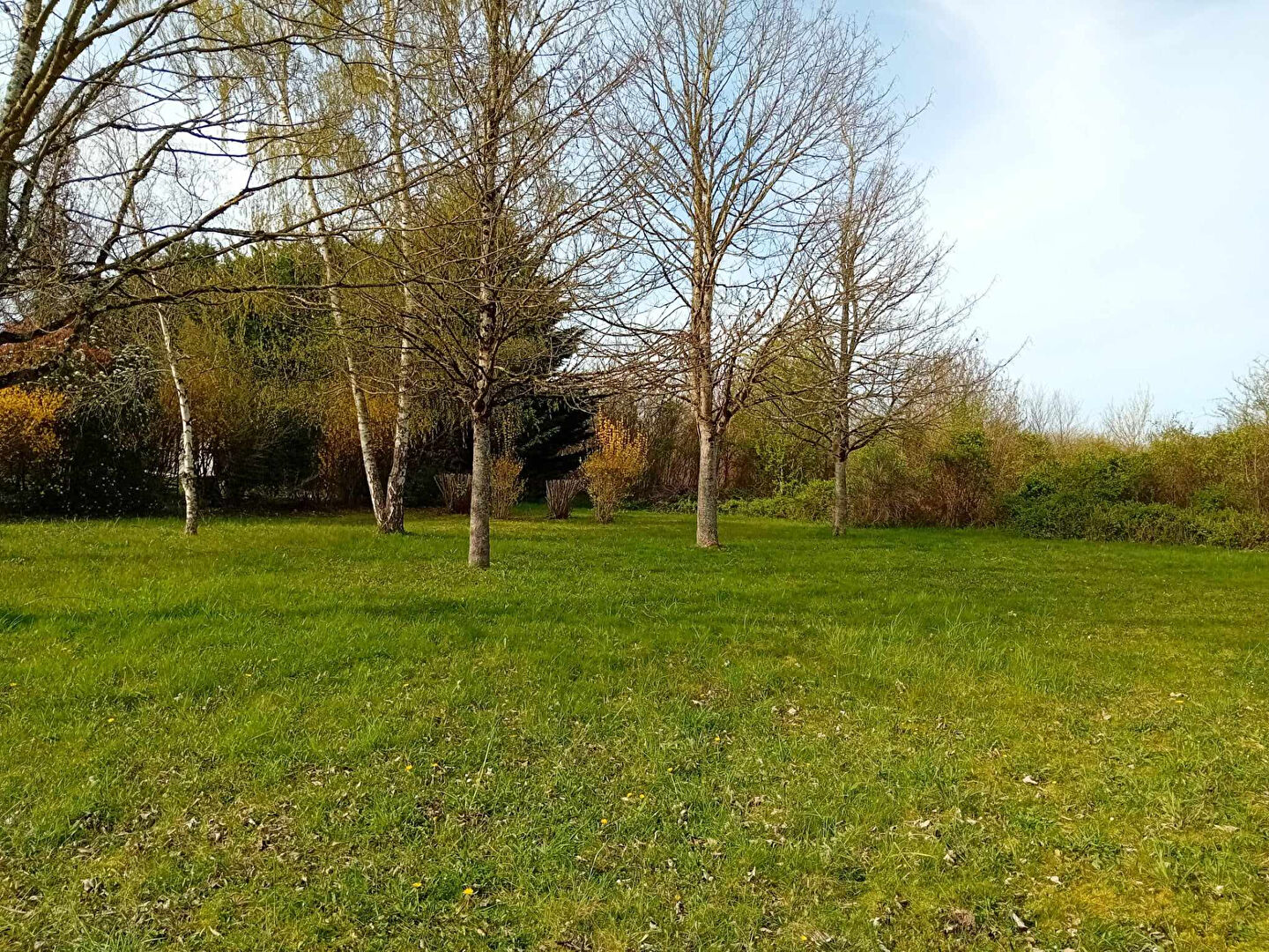 Terrain  - 509m²