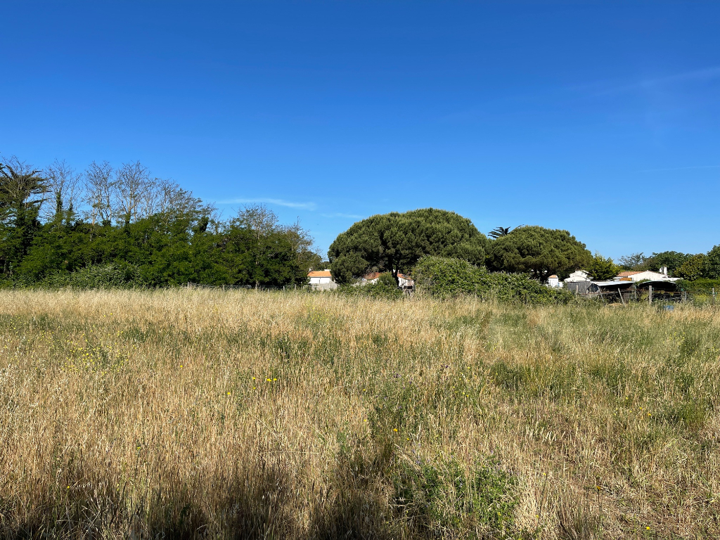 Terrain  - 908m²