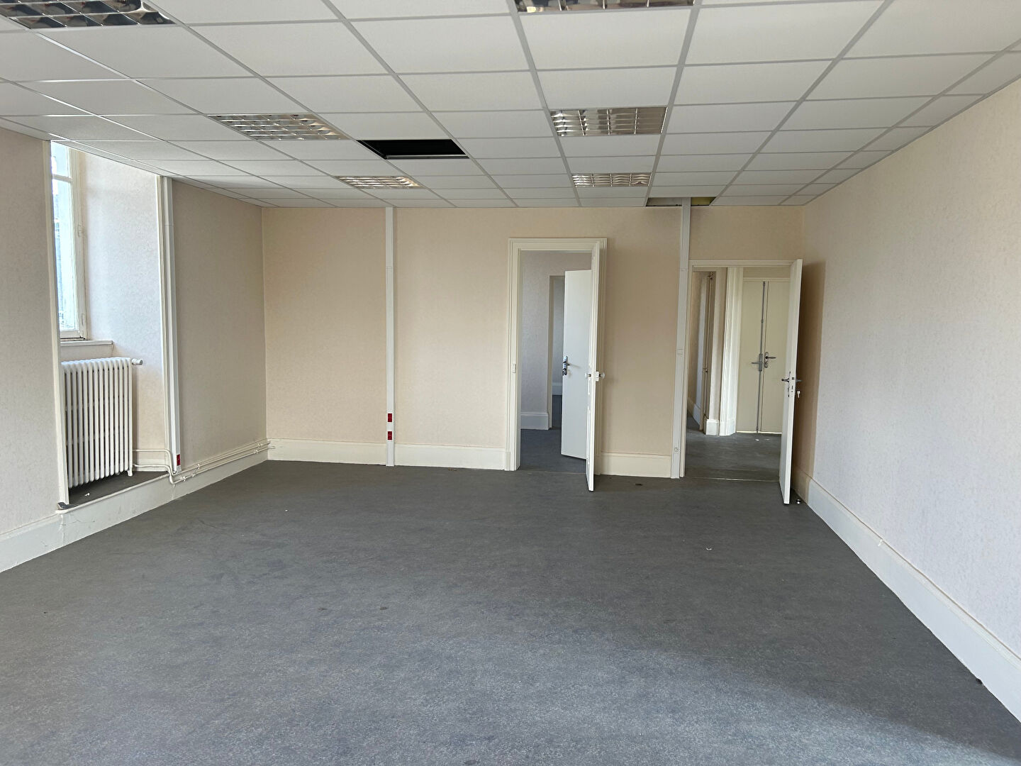 Local Professionnel  - 169m²