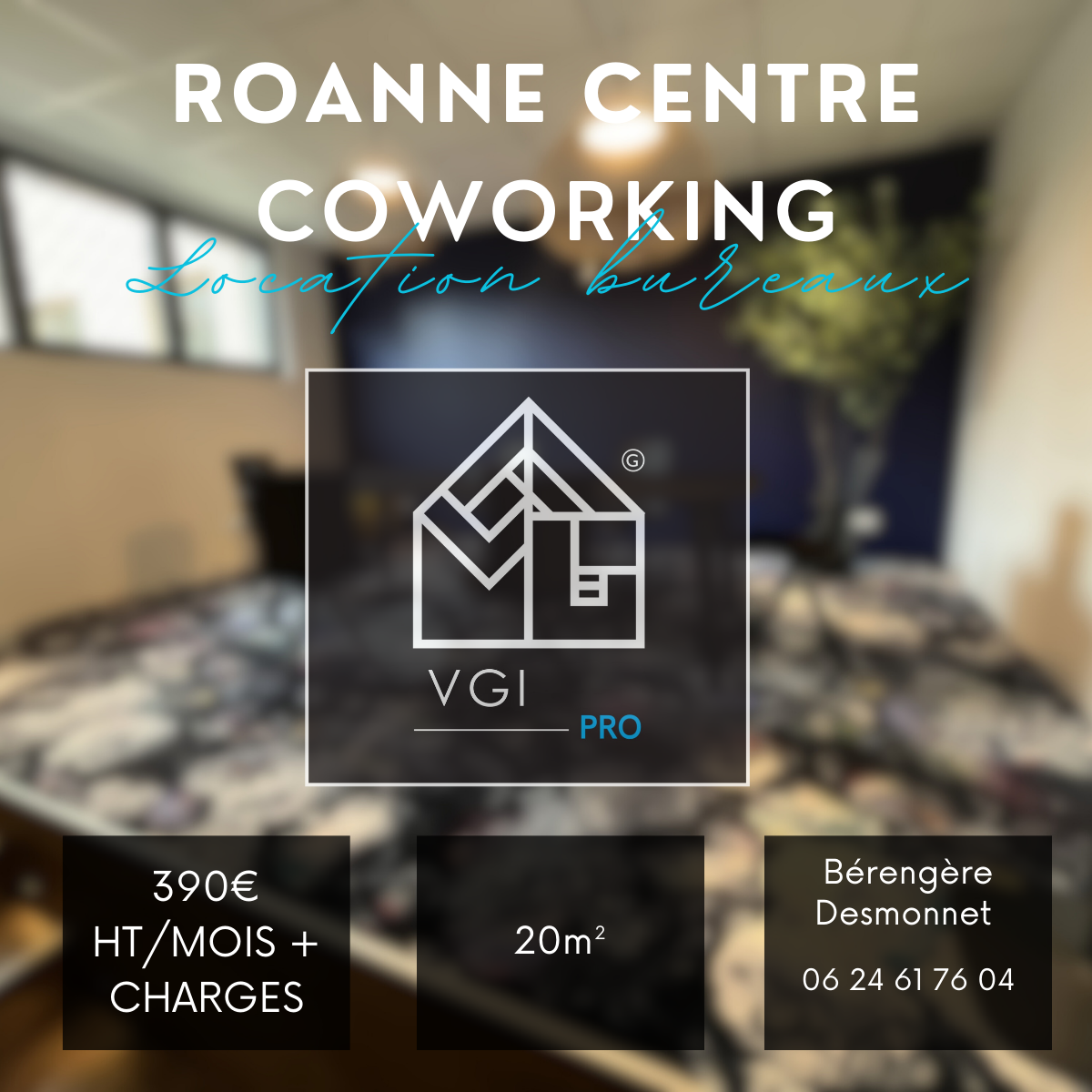 Local Professionnel  - 20m² - ROANNE