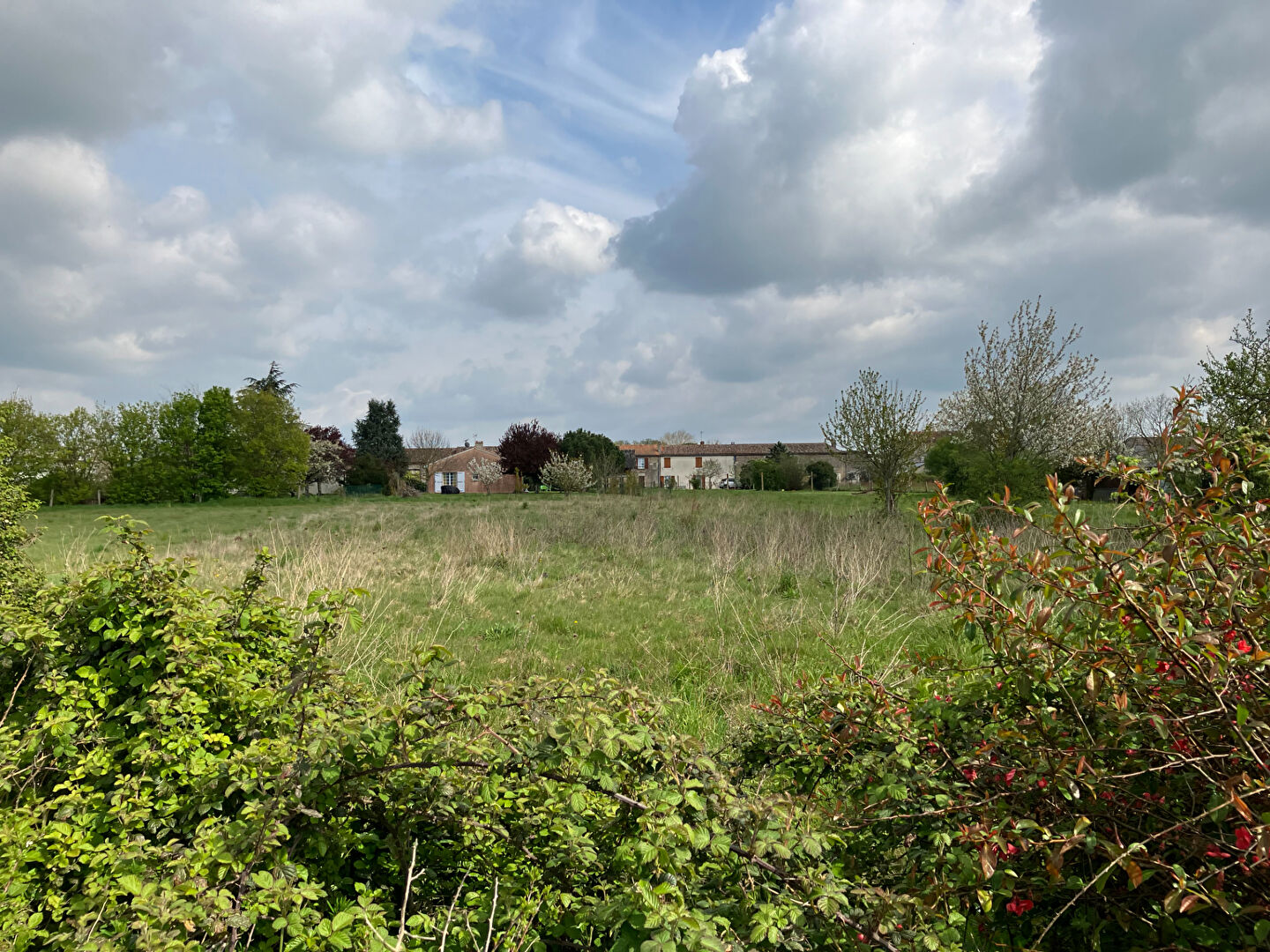 Terrain  - 1 566m²