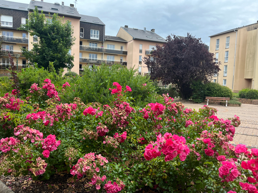 Appartement 2 pièces - 52m²