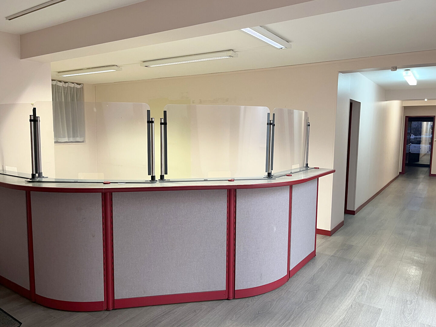 Local Professionnel  - 167m²