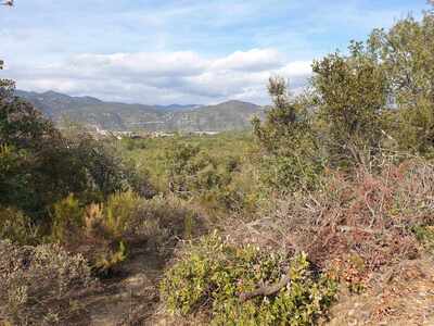 Terrain  - 10 490m² - RIGARDA