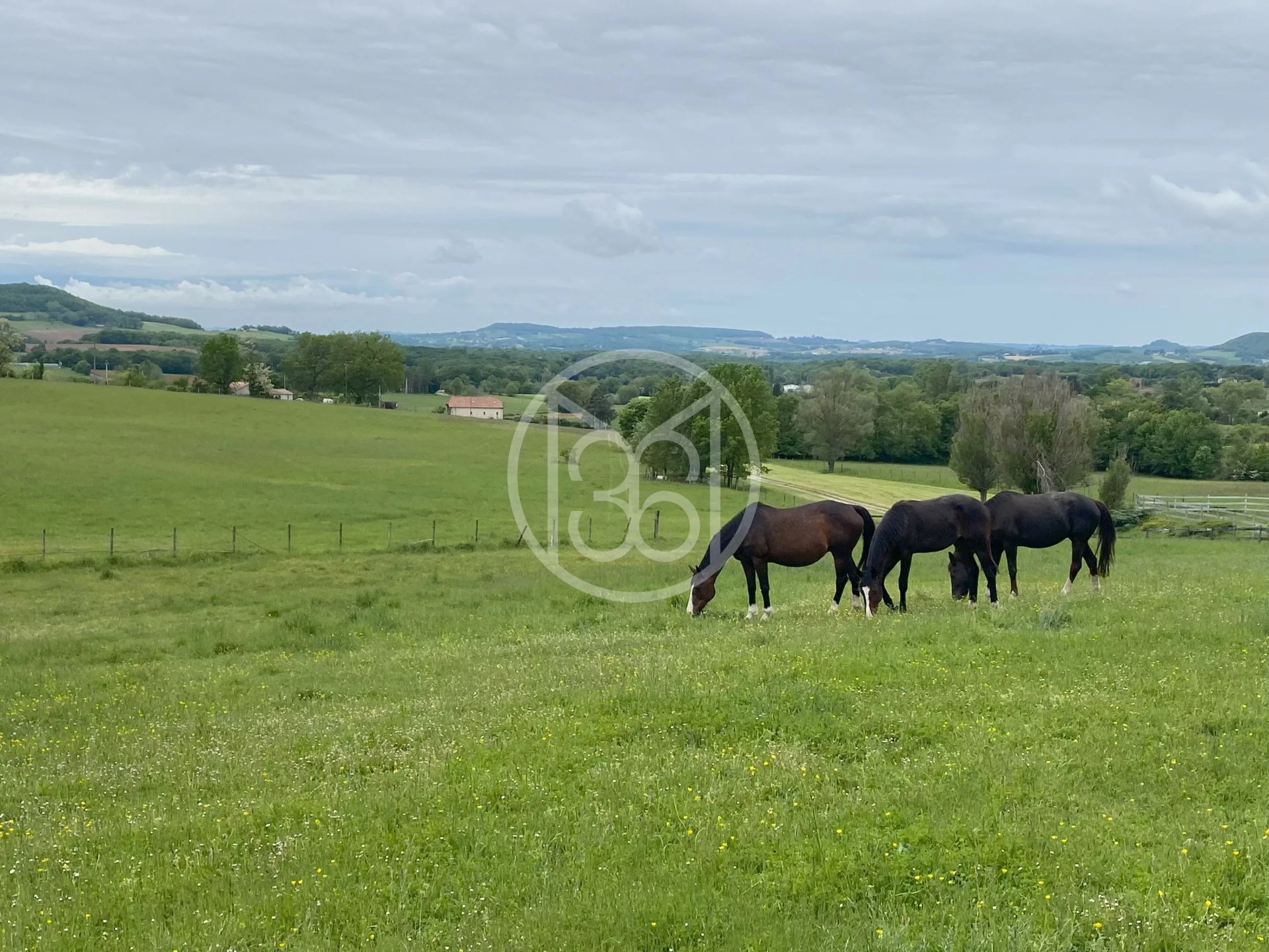 Maison 11 pièces - 477m² - PENNE D AGENAIS