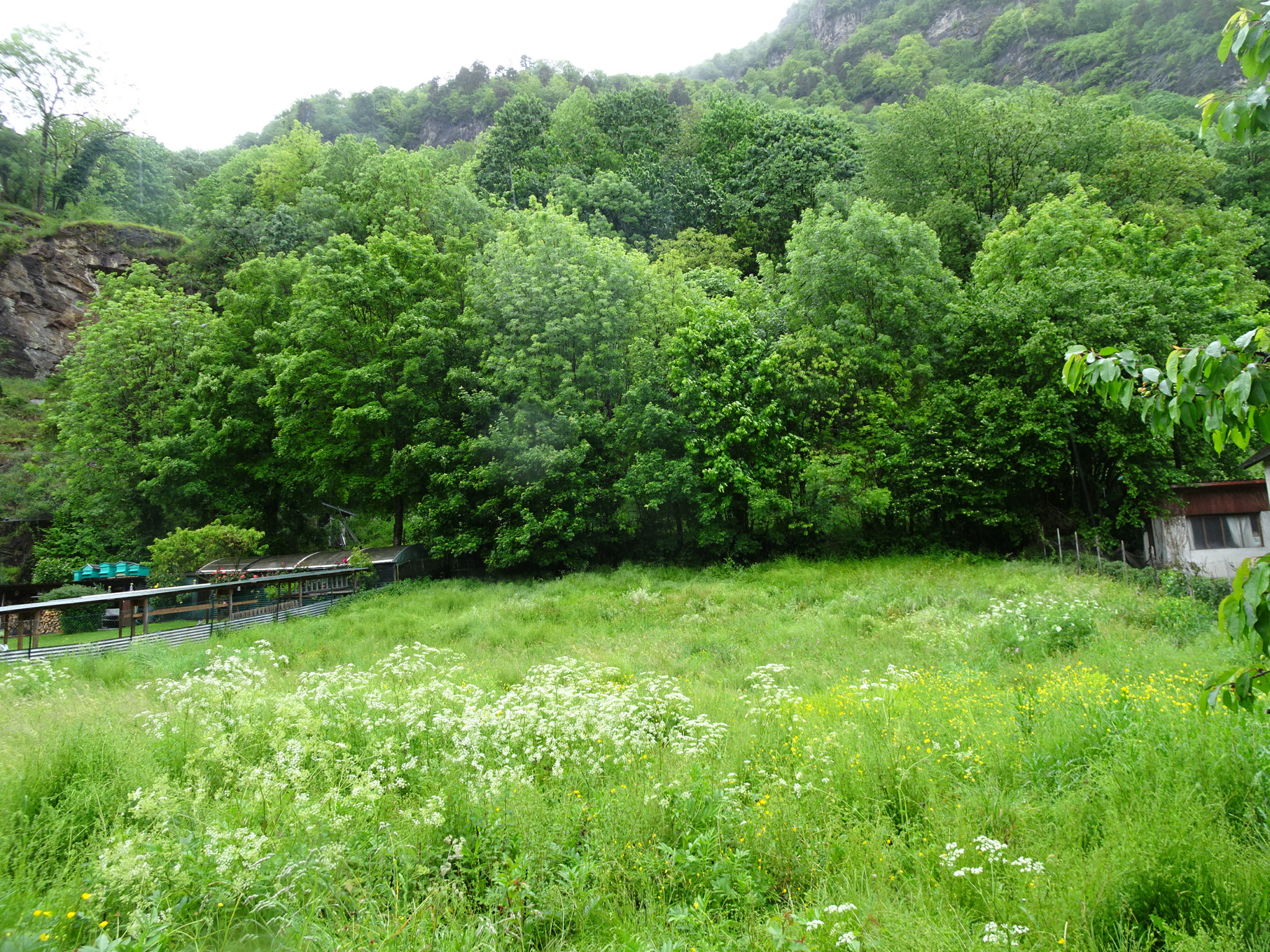 Terrain  - 1 000m² - BAGNERES DE LUCHON