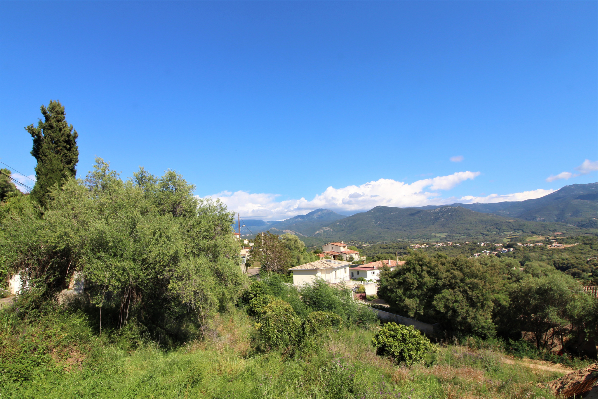 Terrain  - 1 200m² - BASTELICACCIA