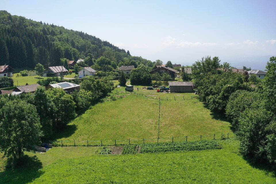 Terrain  - 529m² - LUCINGES