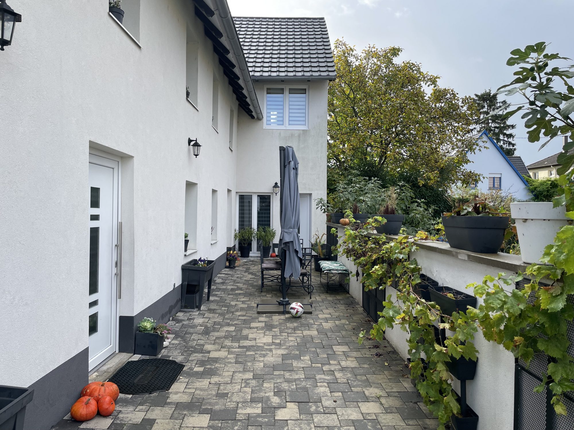 Maison 9 pièces - 230m² - WOLFISHEIM