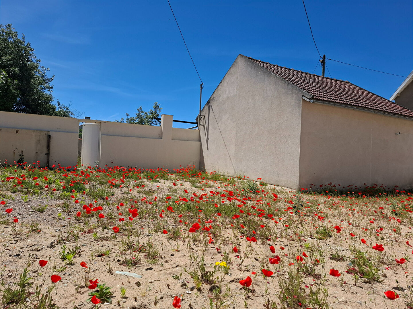 Maison 1 pièce - 38m²