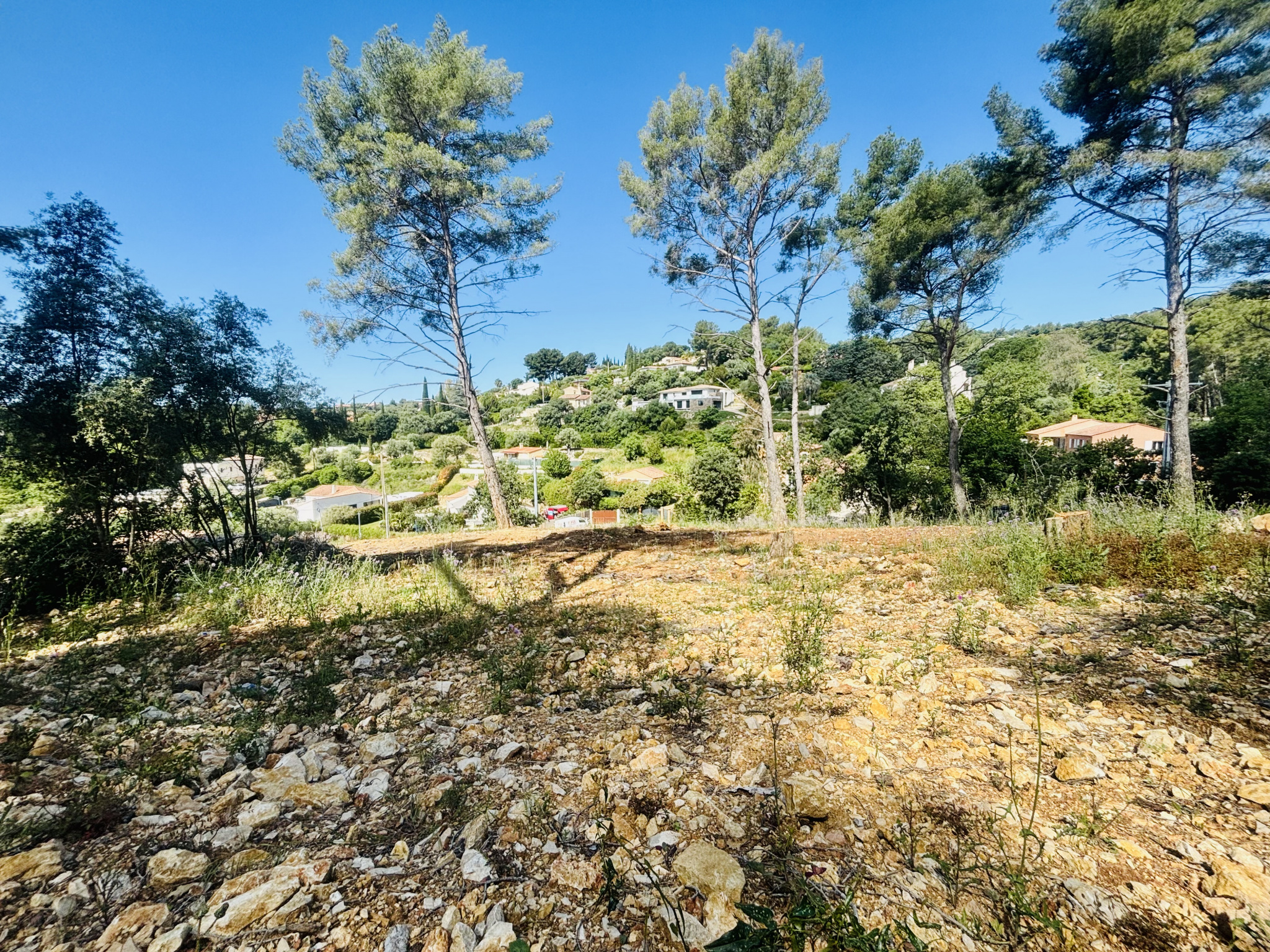 Terrain  - 4 000m² - OLLIOULES