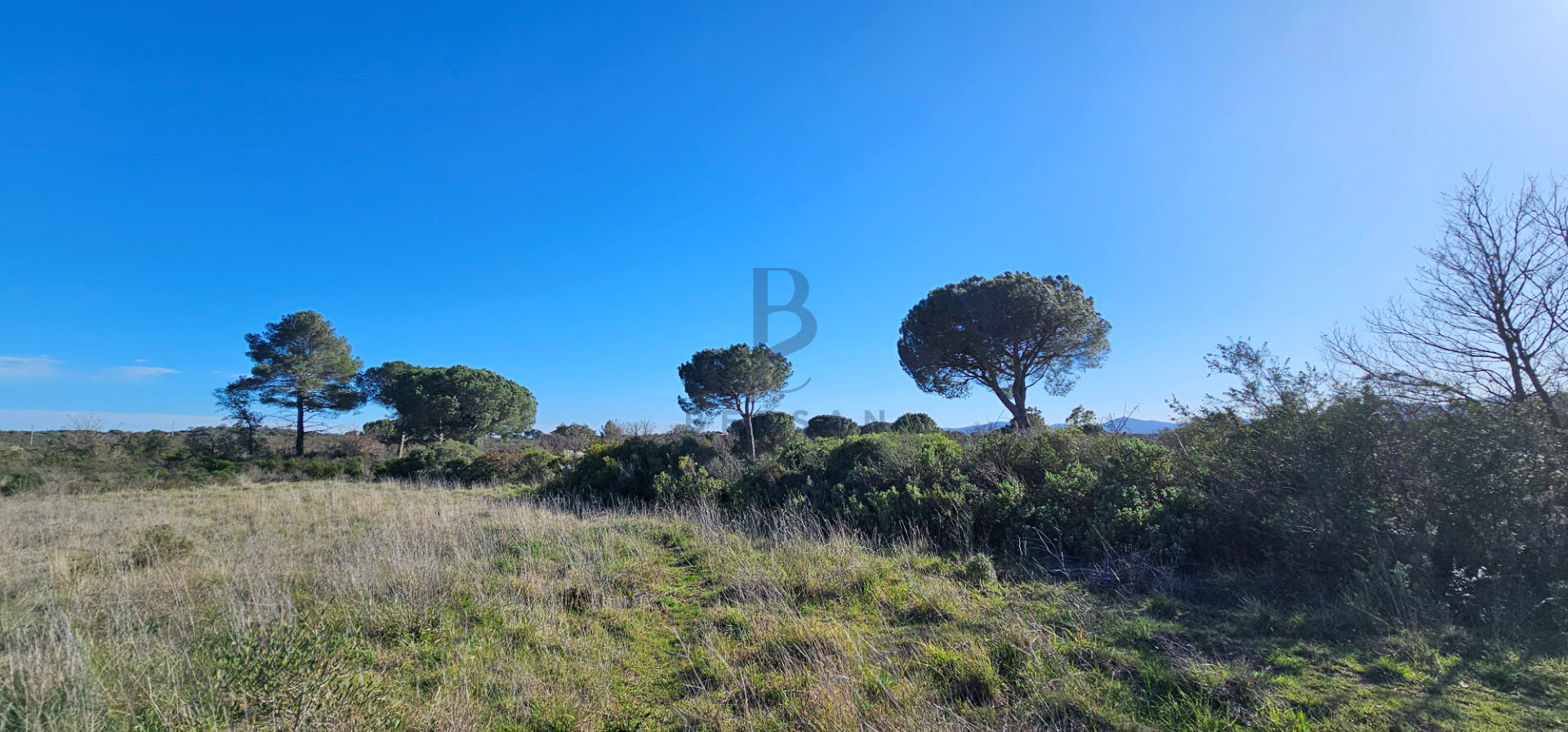 Terrain  - 2 700m²