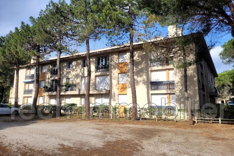 Appartement 1 pièce - 16m² - ARGELES SUR MER