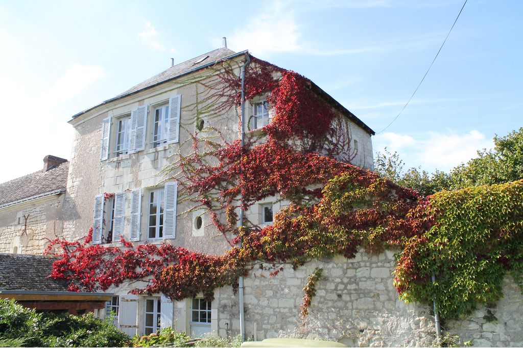 Maison 3 pièces - 55m² - LA ROCHE POSAY