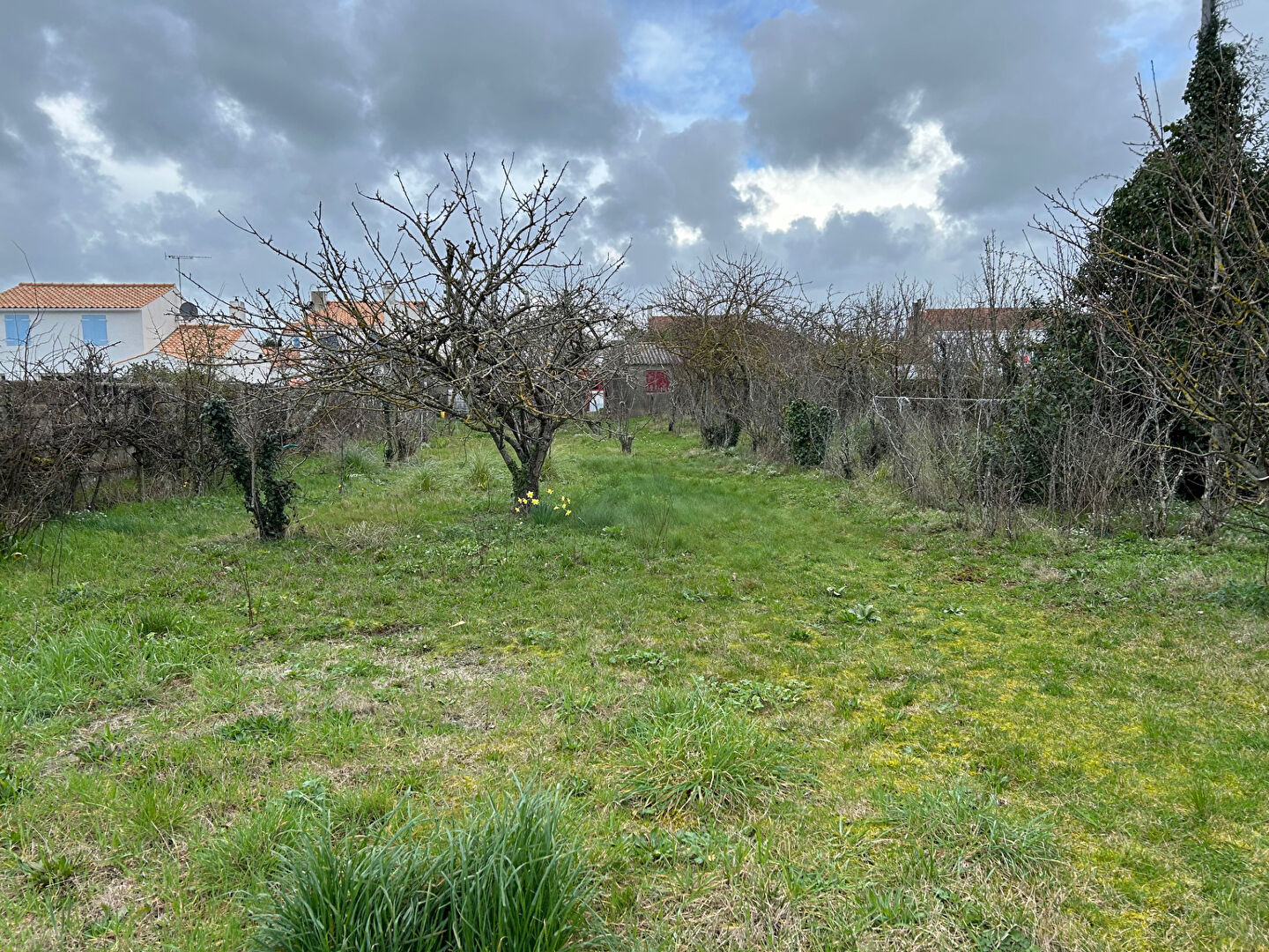 Terrain  - 993m²