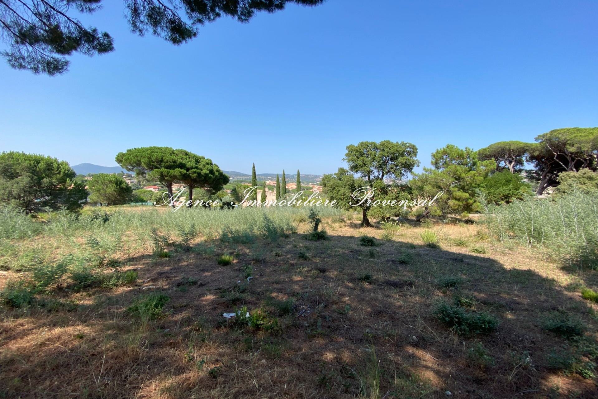 Terrain  - 1 270m² - STE MAXIME