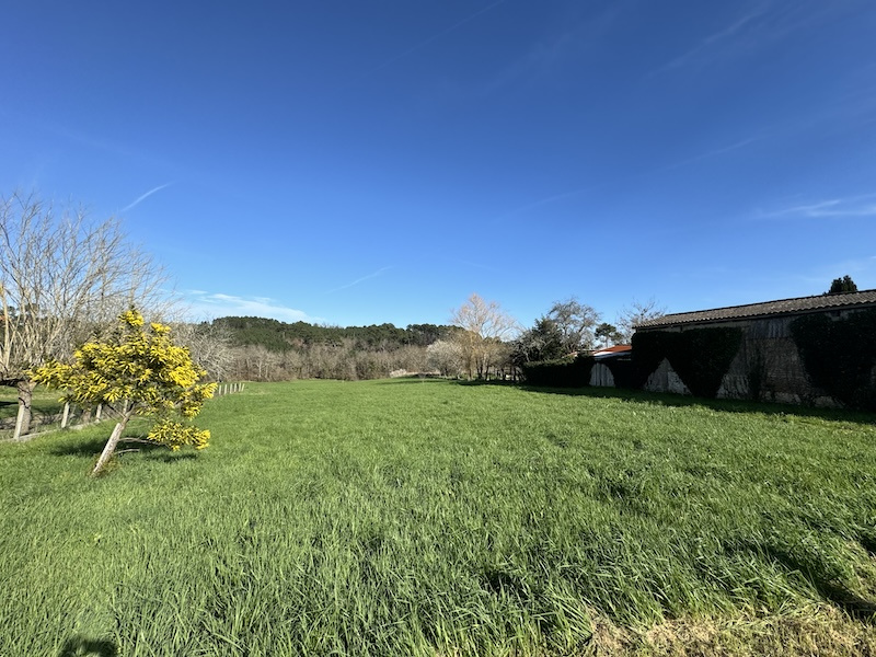 Terrain  - 1 552m² - ST MARTIN DE COUX