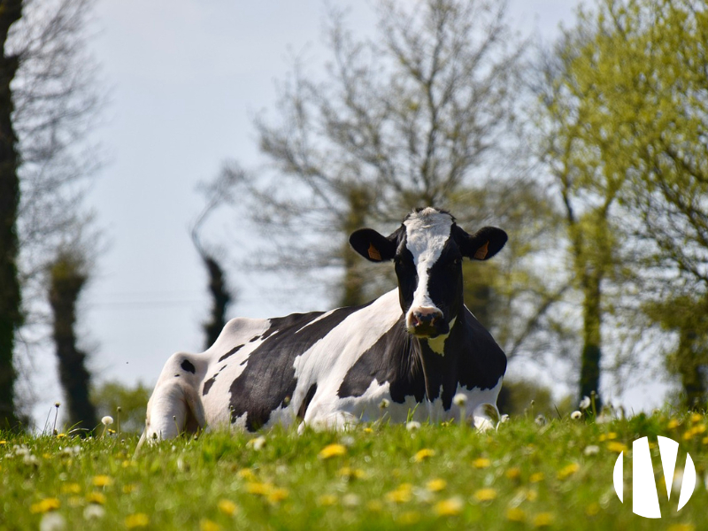 Agricole / Viticole 