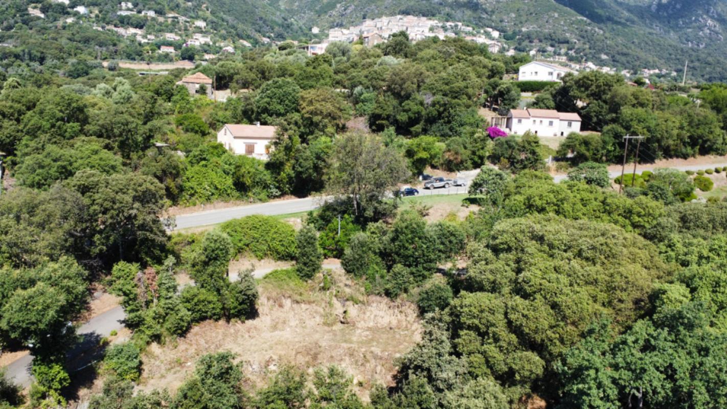 Terrain  - 1 290m² - CERVIONE