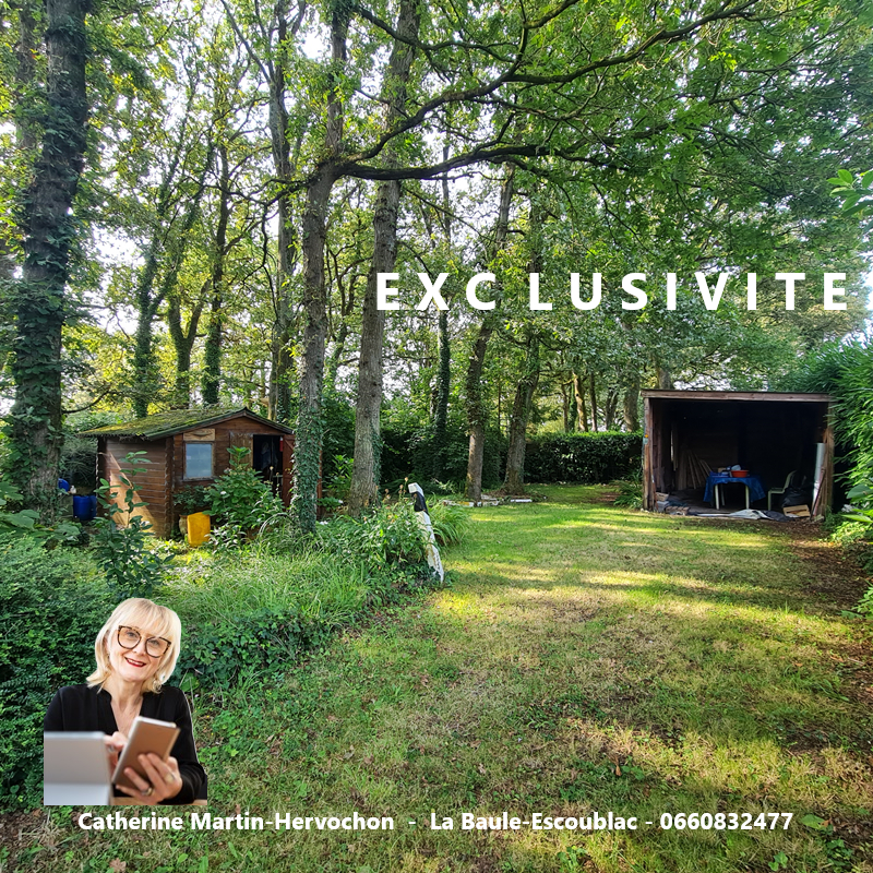 Terrain  - 1 100m² - LA BAULE ESCOUBLAC