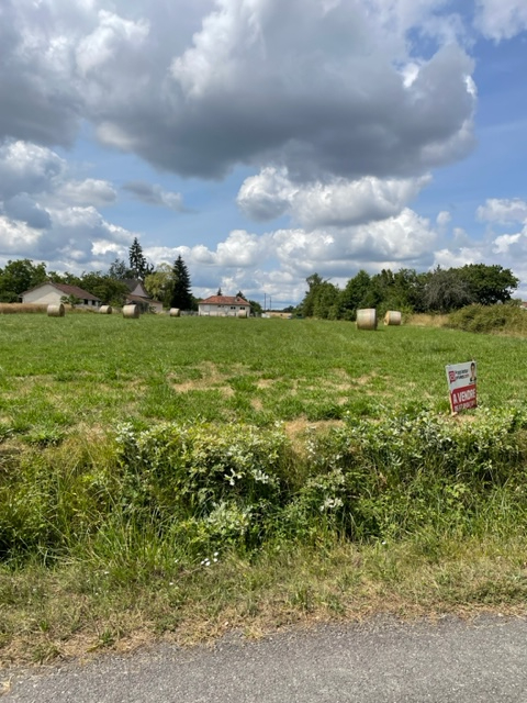 Terrain  - 2 001m² - BEAULIEU SUR LOIRE