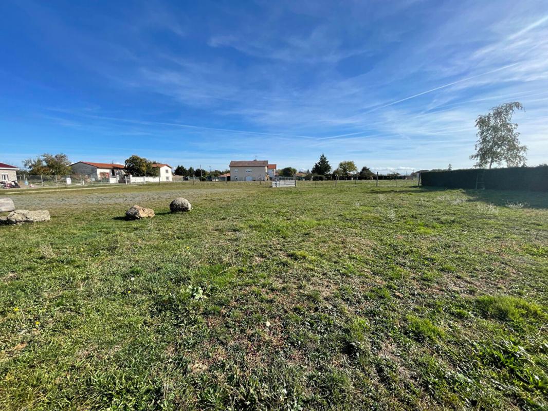 Terrain  - 1 361m² - STE AGATHE LA BOUTERESSE