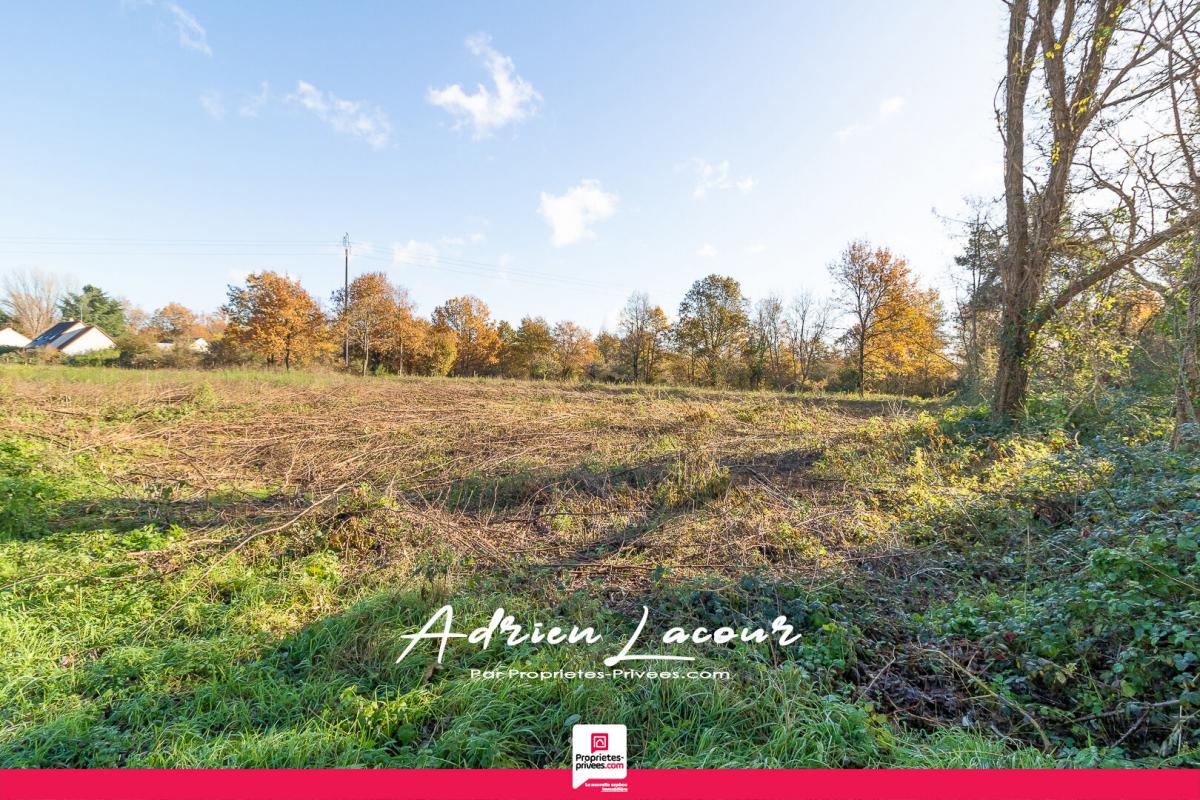 Terrain  - 1 010m² - PRUNIERS EN SOLOGNE