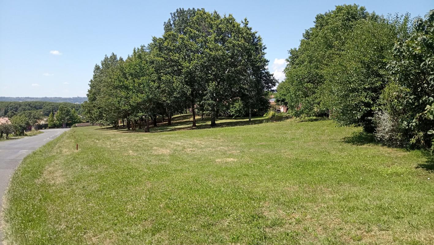 Terrain  - 1 200m² - ALBI