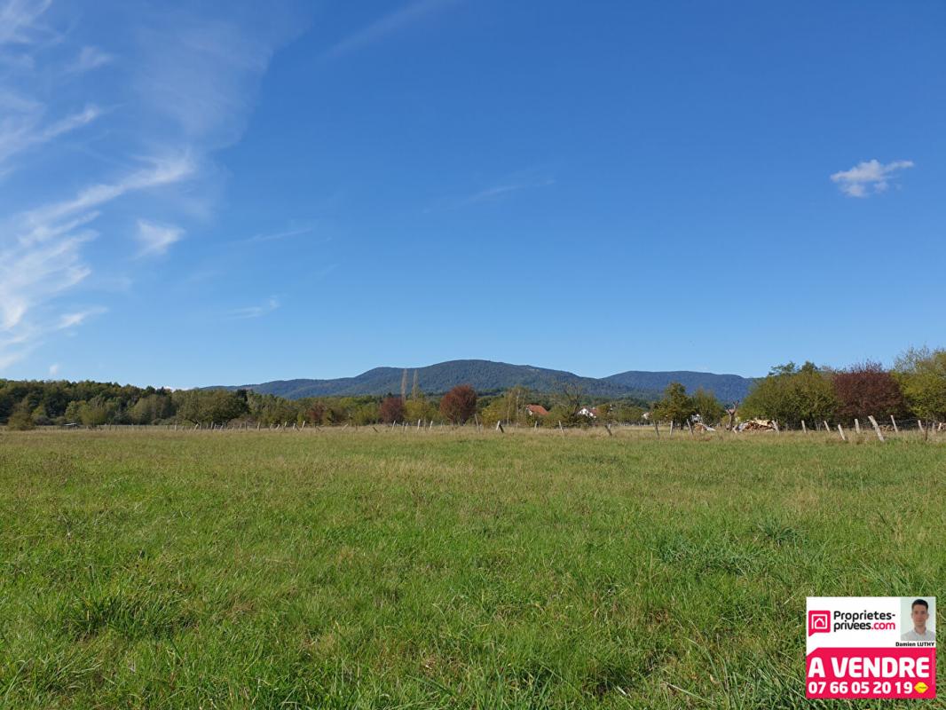 Terrain  - 1 665m² - CHAUX