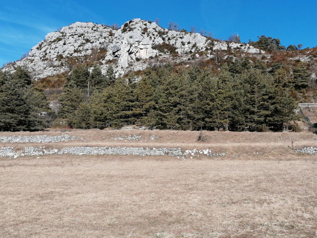 Terrain  - 3 000m² - CAILLE