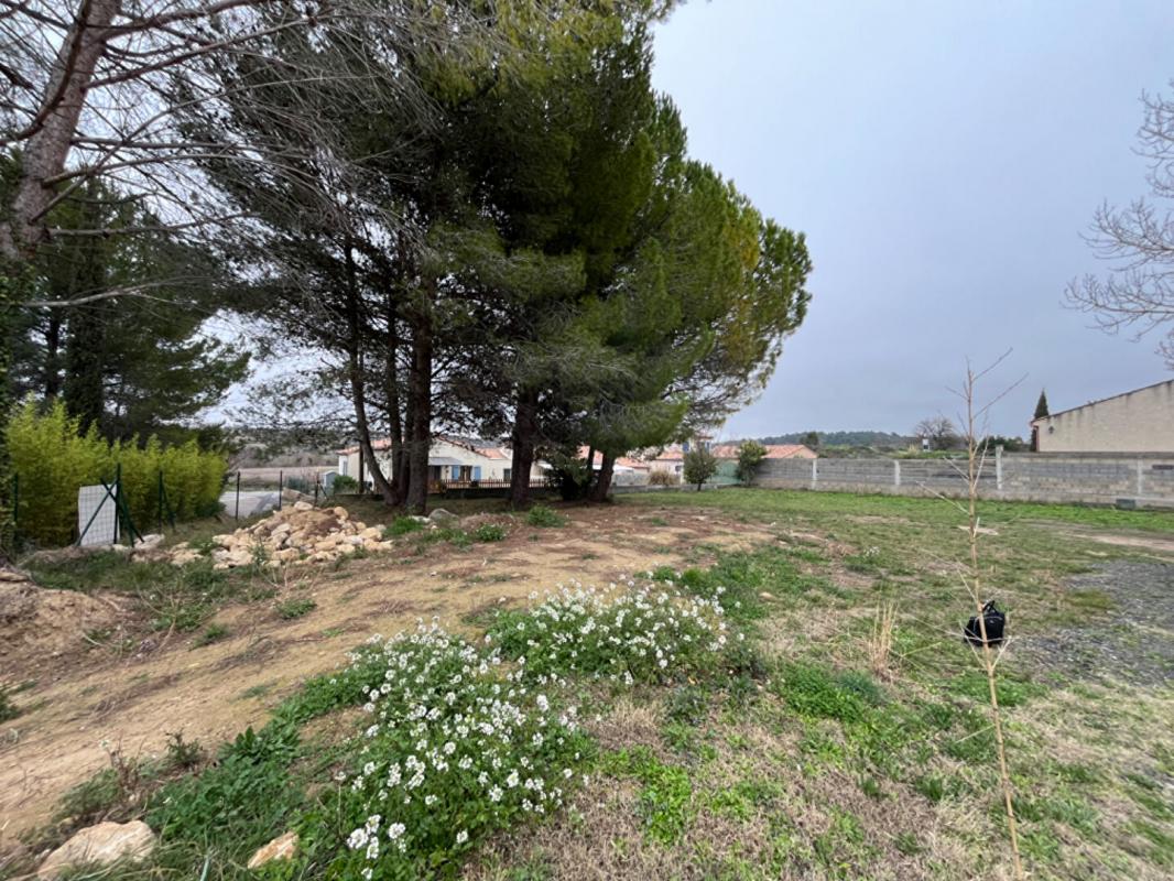 Terrain  - 599m² - ST PONS DE MAUCHIENS