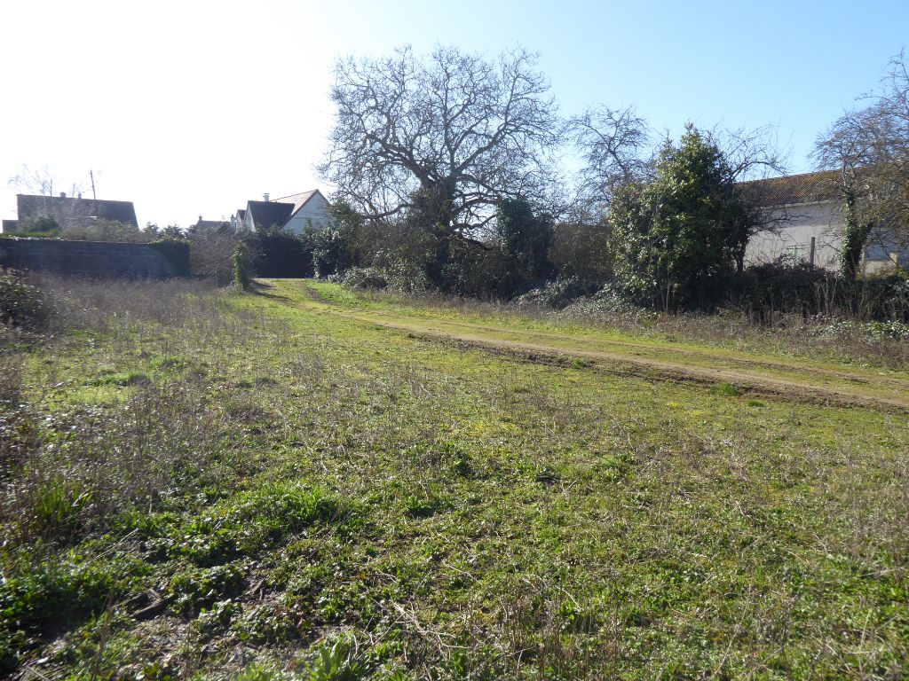 Terrain  - 710m² - LA CHAPELLE ST MARTIN EN PLAINE