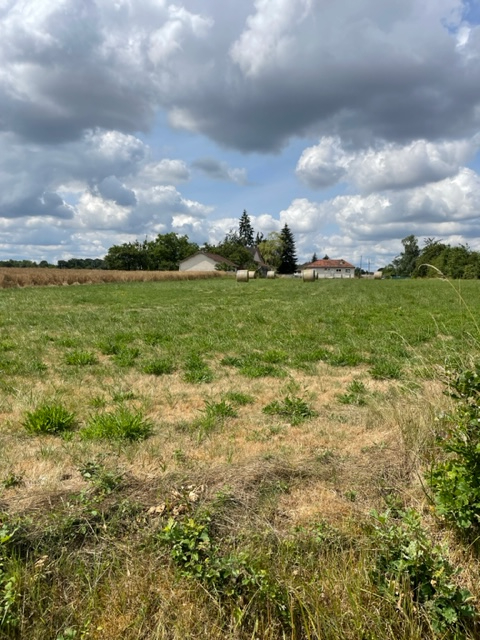 Terrain  - 2 000m² - BEAULIEU SUR LOIRE