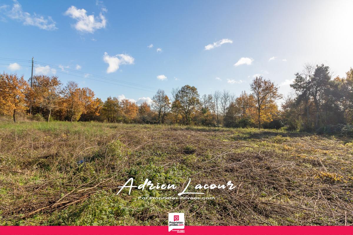 Terrain  - 1 133m² - PRUNIERS EN SOLOGNE