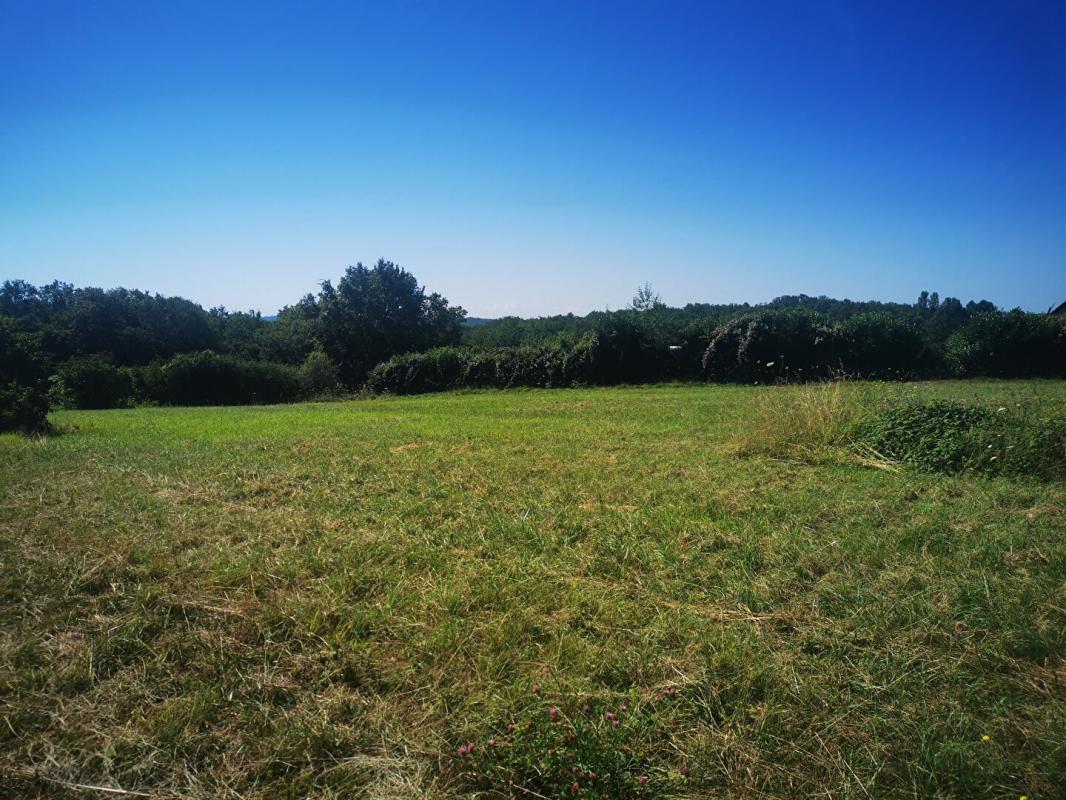 Terrain  - 2 185m² - ST AMAND DE COLY