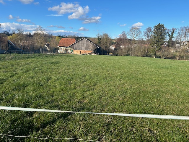 Terrain  - 859m² - HUNDSBACH