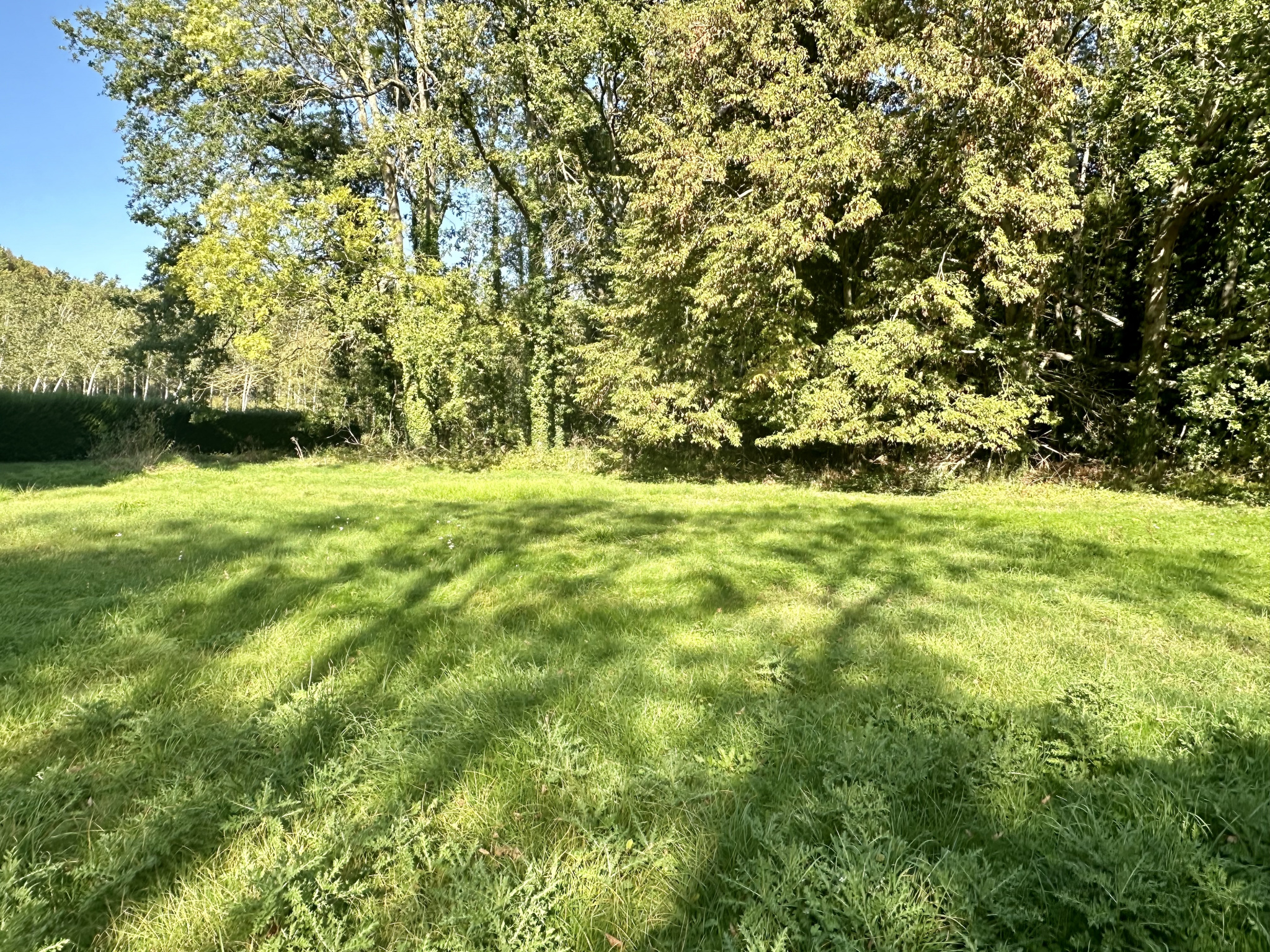 Terrain  - 876m² - MAINTENON