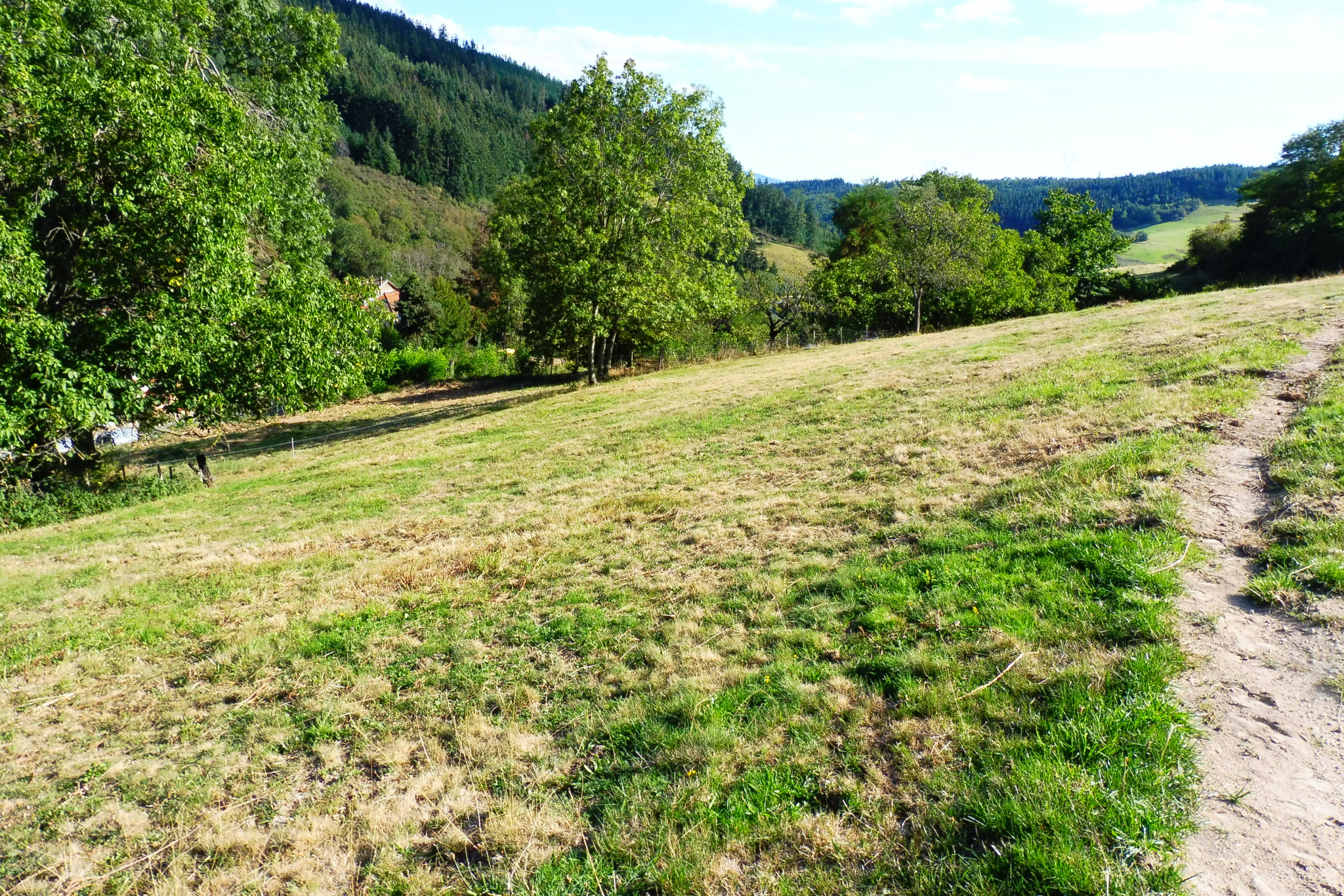 Terrain  - 1 040m² - DIEME