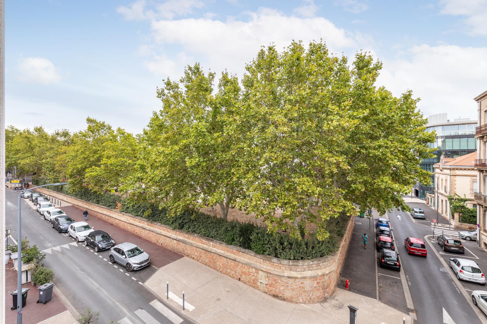 Appartement 1 pièce - 19m² - BEZIERS