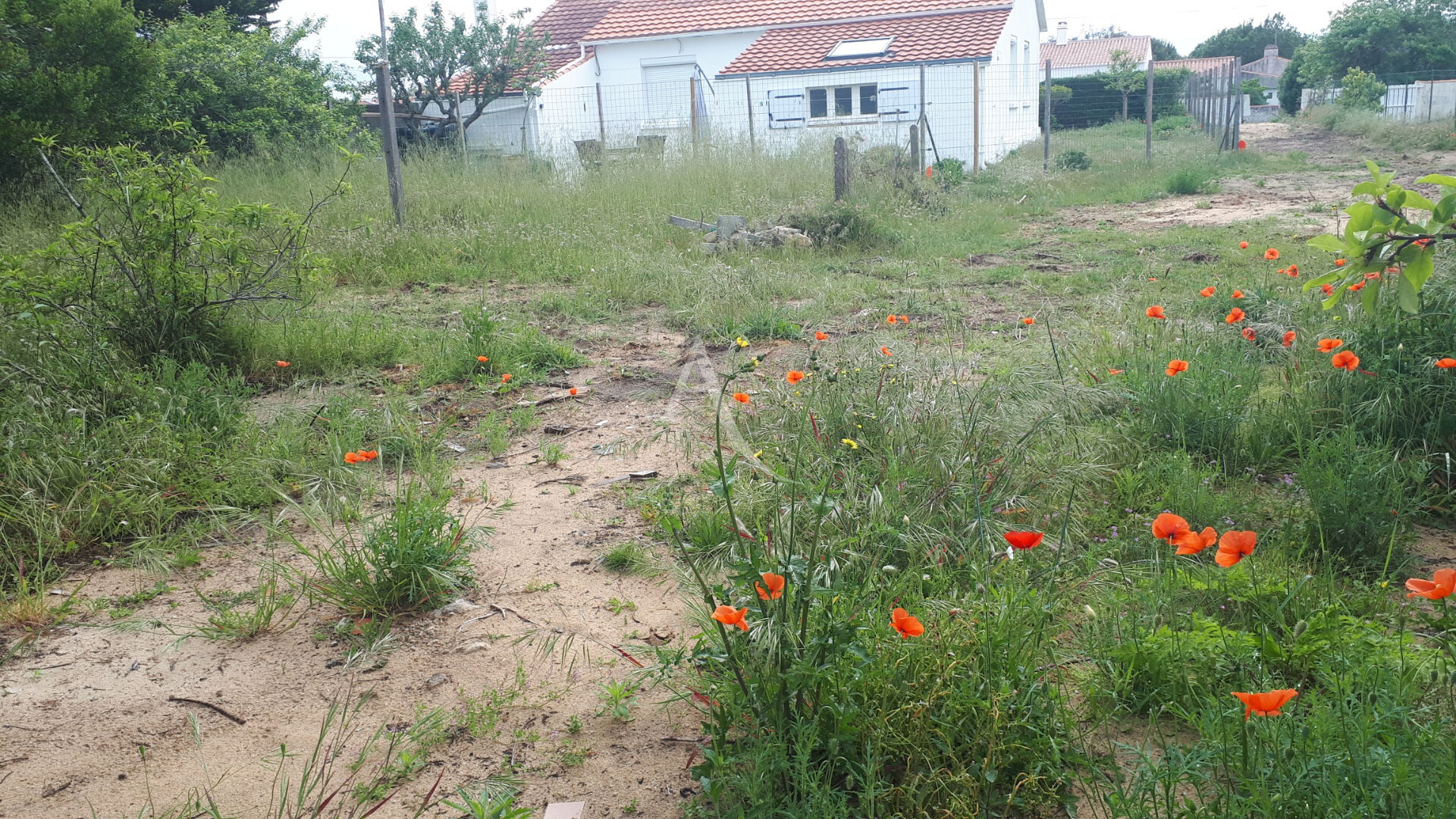 Terrain  - 535m² - BARBATRE