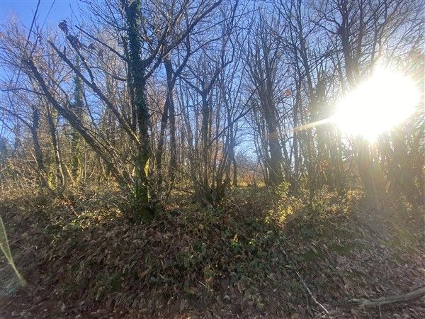 Terrain  - 1 000m² - BRIVE LA GAILLARDE