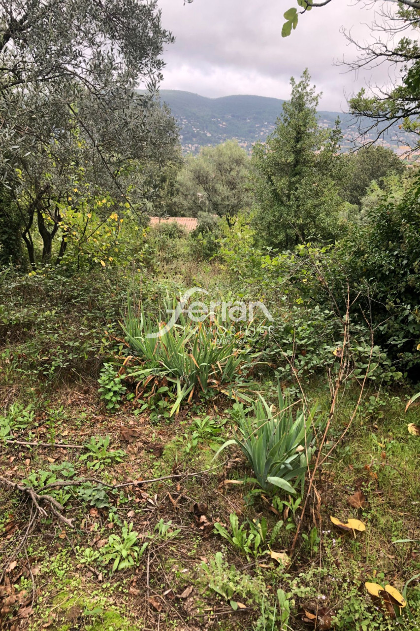 Terrain  - 1 300m² - DRAGUIGNAN